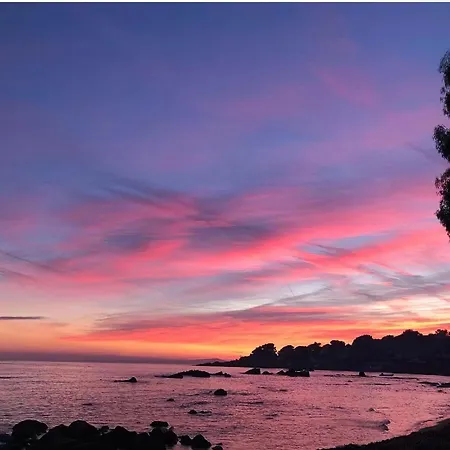 A 100m Magnifique T2 Avec Jardin Prive Saint-Raphaël